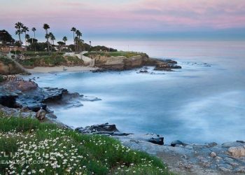 Daniel Anderson has a head on some very big shoulders