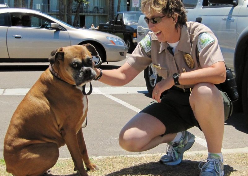 Mission Bay Park rangers ever-vigilant for scofflaws