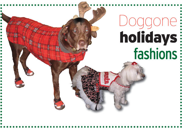 Holiday and everyday fashions for man and beast