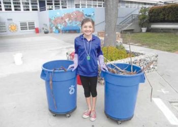 Theft of Lorax statue prompts appeals for return from several states away