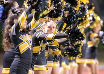 Scooter crash in Roseville Fleet Ridge area