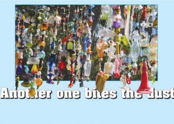 Straight from the farm: La Jolla's fall harvest reaps funds for elementary school