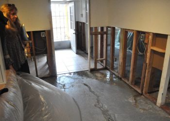 Food and Drink Blotter: June 2019