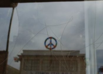 Tips for taking your dog to work