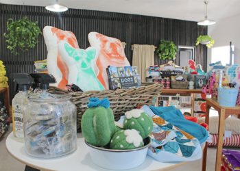 Pacific BeachFest music will range from reggae to mambo, to singer-songwriters