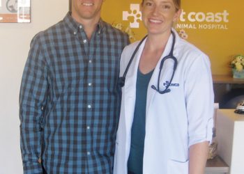 Pedestrian struck by car on La Jolla Shores Drive