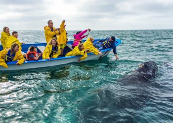 Tula Ru Boutique not looking to change its tune, just its owner