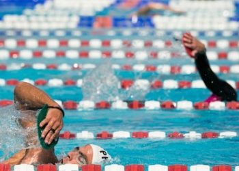 Noted wildlife photographer has seen it all; now you can too