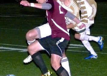 Noisy, but beautifully exotic wild parrots call San Diego home