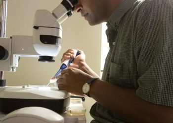 Carlsbad man sentenced to jail in La Jolla art gallery robbery