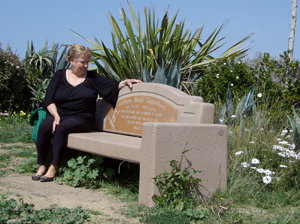 Thefts of cliffside memorial benches befuddle family