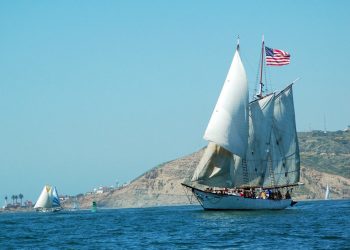 Chiefs go from worst to first in Mission Bay Youth Baseball