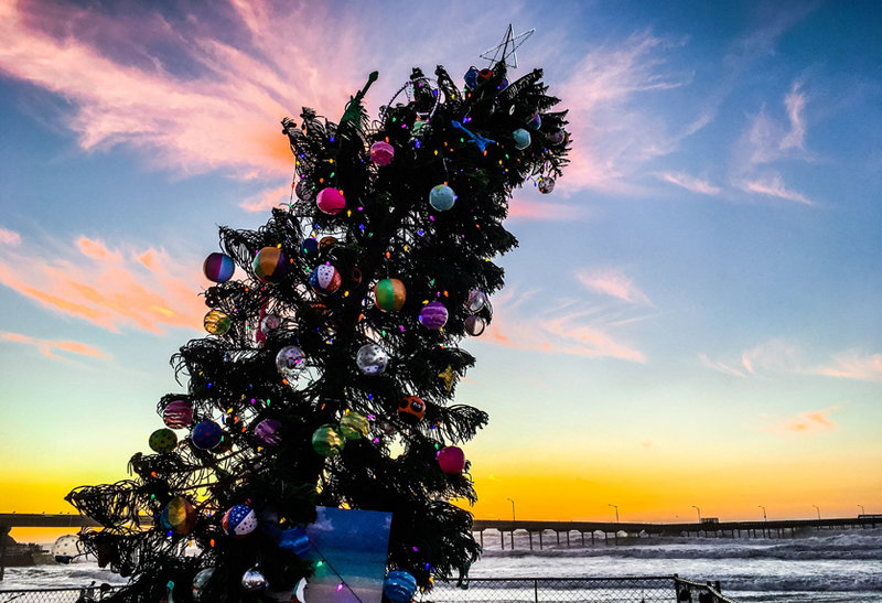 Community briefs for Ocean Beach and Point Loma