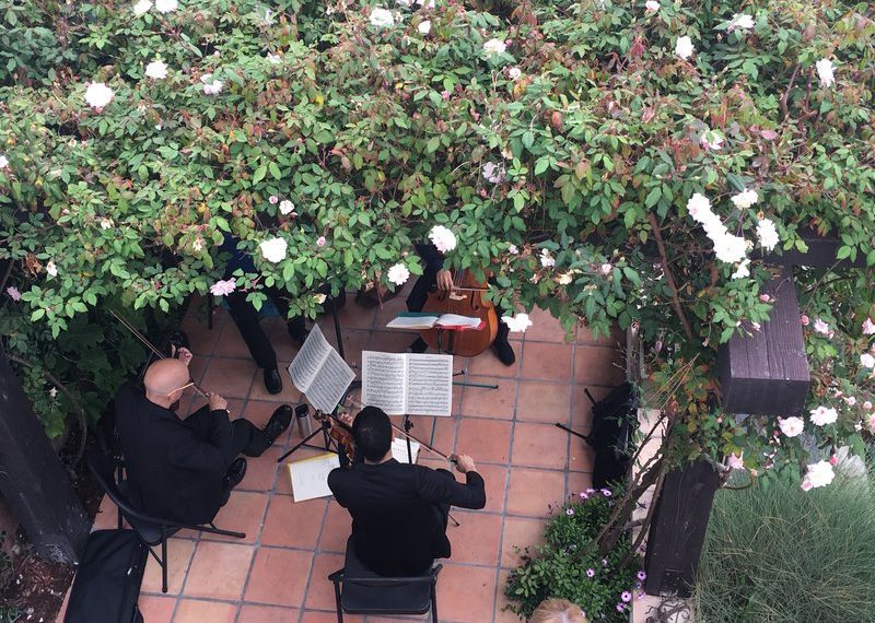 Celebrate some of La Jolla’s most unique landscapes at the annual Secret Garden Tour