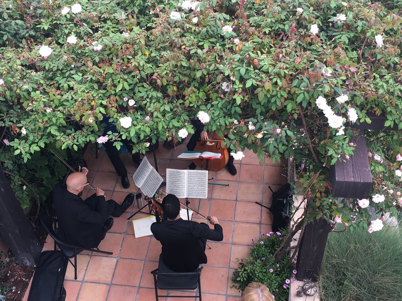 Celebrate some of La Jolla’s most unique landscapes at the annual Secret Garden Tour