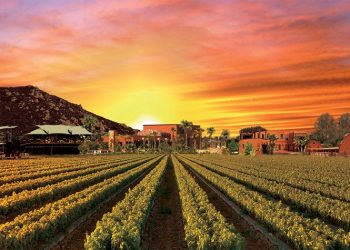 It's showtime, baby!': 16 months later, The Lot is open for business