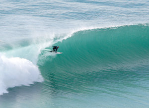 Worm architects build seaworthy sandcastles with own ‘glue’