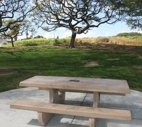 Student playwrights express love through theater