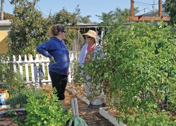 Nautilus Tavern brings laid-back, time-tested fare to Windansea