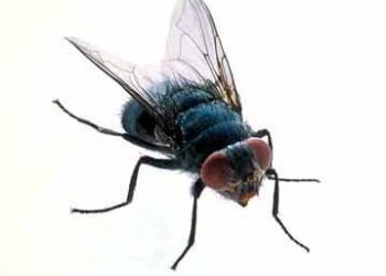 Mission Bay’s co-valedictorians and salutatorian have high hopes