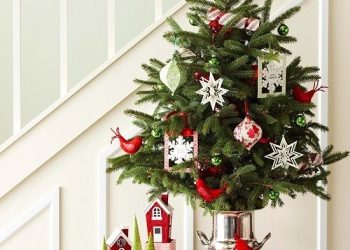 Author, photographer finds unconditional love