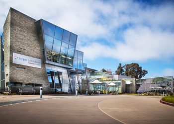 Broken Yolk celebrates 40 years of eggcellent food and service