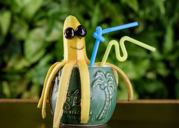 Avoid lines at the polls, vote early this weekend