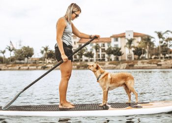 Ocean Beach optometrist provides free exams, glasses for OB Elementary students