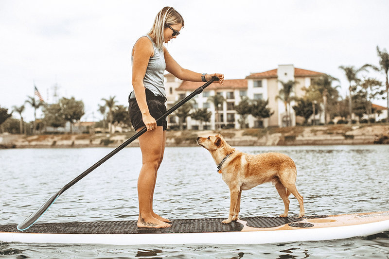 Surf’s up for pets as SUP Pups branches out on its own