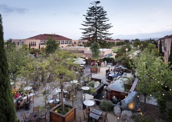 Ocean Beach Holiday Parade celebrates California Dreamin’ in the Season of Love