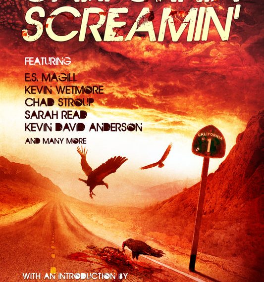 ‘California?Screamin’ sheds some darkness on palm trees and sunshine