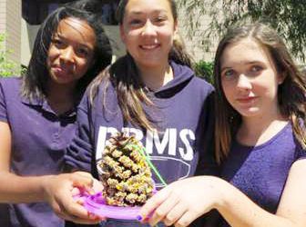 Cycling teams gear up for Amgen Tour of California