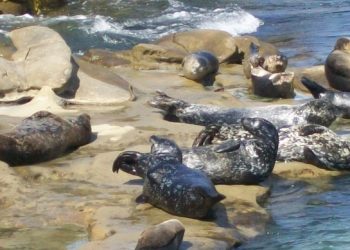 Calendar – Aug. 28 – Sept. 24, 2015