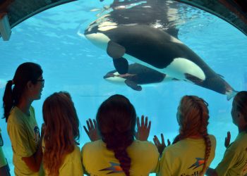 Strides For Survival 5K in Mission Beach