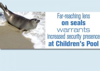 Flaming Lips set to light up stage at Playhouse gala