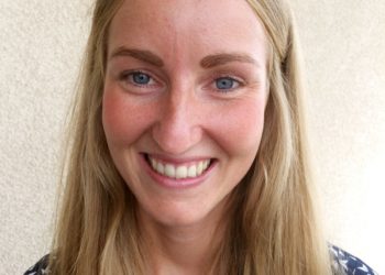 Midway planners consider adding private security