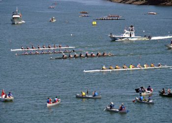 Sea lion strandings surpass 2,000 on California beaches