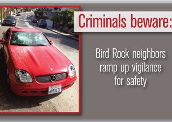 YMCA gymnasts heading to national championships