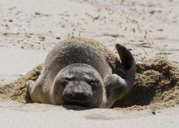 The truth about real estate selling commissions