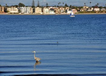 Short-term rentals update: Committee endorses proposal to regulate home-sharing