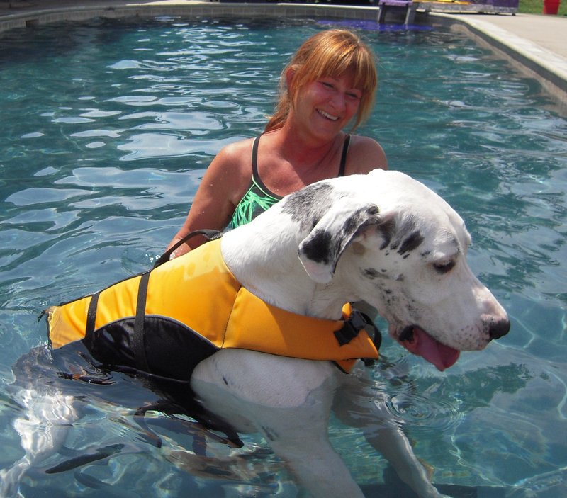 Animal physical therapist seeks help to rehabilitate paralyzed dogs that might otherwise be euthanized