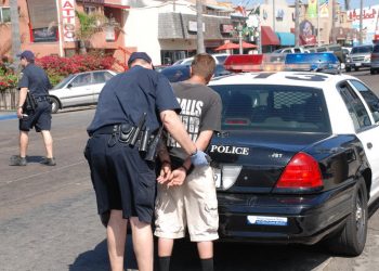 The orca/dolphin debate: writer agrees photo was of killer whale