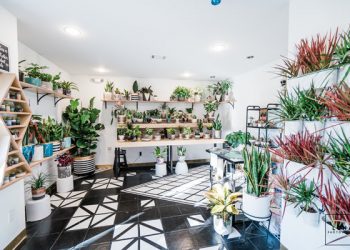 Pacific Beach entrepreneur inspired by things that grow