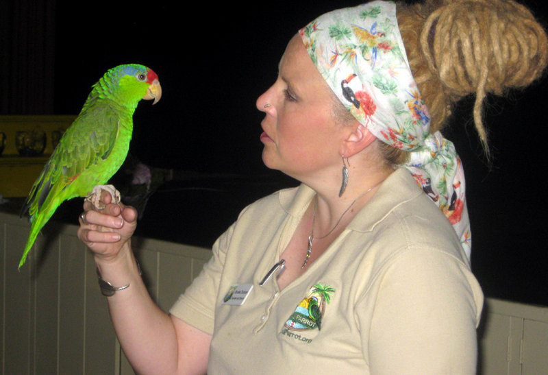 Locals discuss leads in parrot killings in Point Loma, Ocean Beach