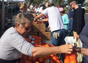 Big changes to your IRA