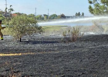 San Diego International Airport wins innovation award