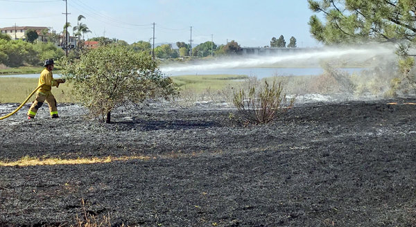 Firefighters extinguish vegetation fire near Famosa Slough