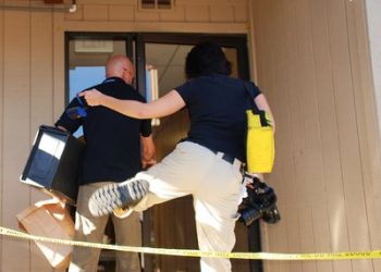 Che Bella takes floral design to impressive levels