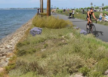 University City resident starts organization to get youth represented in governmental decision-making