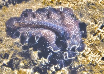 Feeling a little crafty